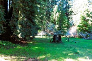 Residential Lot,  Drake road, Russian River, CA 95446 - 9