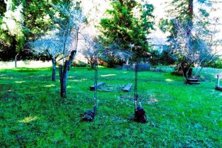 Residential Lot,  Drake road, Russian River, CA 95446 - 5