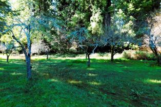 Residential Lot,  Drake road, Russian River, CA 95446 - 4