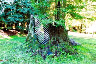 Residential Lot,  Drake road, Russian River, CA 95446 - 3