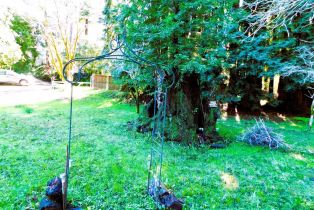 Residential Lot,  Drake road, Russian River, CA 95446 - 7
