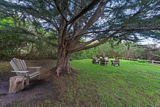 Single Family Residence,  Highway 1 none, Jenner, CA 95450 - 35