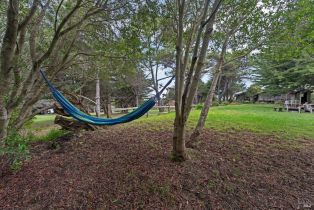 Single Family Residence,  Highway 1 none, Jenner, CA 95450 - 38