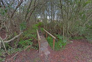 Single Family Residence,  Highway 1 none, Jenner, CA 95450 - 37