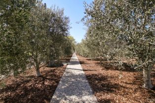 Single Family Residence, Knob Hill road, Sonoma, CA 95476 - 19