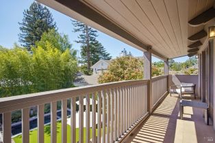 Single Family Residence,  France street, Sonoma, CA 95476 - 41