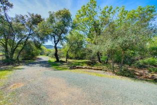 Single Family Residence,  Soda Canyon road, Napa, CA 94558 - 46