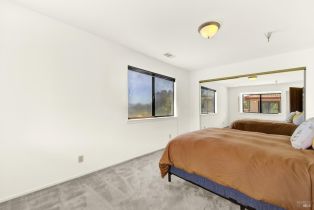 Single Family Residence,  Soda Canyon road, Napa, CA 94558 - 35