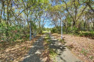 Single Family Residence, Soda Canyon road, Napa, CA 94558 - 42