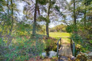 Single Family Residence,  Soda Canyon road, Napa, CA 94558 - 52