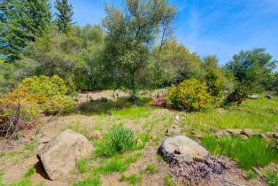 Single Family Residence,  Soda Canyon road, Napa, CA 94558 - 58