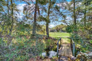 Single Family Residence, Soda Canyon road, Napa, CA 94558 - 8