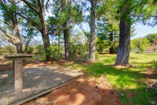 Single Family Residence,  Soda Canyon road, Napa, CA 94558 - 60