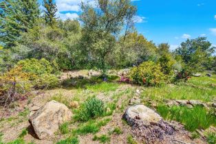 Single Family Residence, Soda Canyon road, Napa, CA 94558 - 19