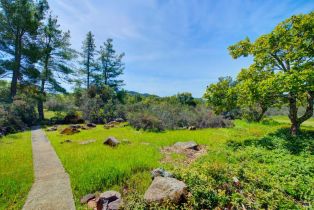 Single Family Residence,  Soda Canyon road, Napa, CA 94558 - 51