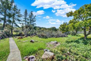 Single Family Residence, Soda Canyon road, Napa, CA 94558 - 5