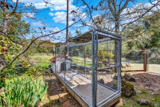 Single Family Residence, Soda Canyon road, Napa, CA 94558 - 43