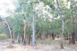 Residential Acreage,  Foothill boulevard, Calistoga, CA 94515 - 6