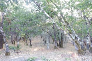 Residential Acreage,  Foothill boulevard, Calistoga, CA 94515 - 5