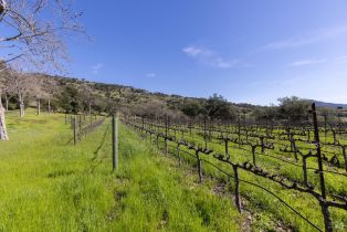 Single Family Residence,  Old Soda Springs road, Napa, CA 94558 - 7