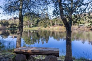 Single Family Residence,  Old Soda Springs road, Napa, CA 94558 - 5
