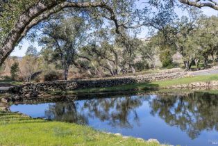 Single Family Residence,  Old Soda Springs road, Napa, CA 94558 - 47