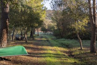 Single Family Residence,  Old Soda Springs road, Napa, CA 94558 - 54