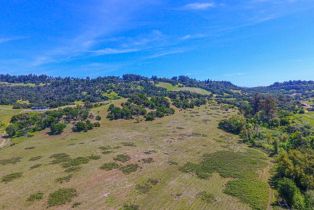 Agriculture,  Bennett Valley road, Santa Rosa, CA 95404 - 32