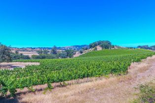 Agriculture,  Bennett Valley road, Santa Rosa, CA 95404 - 41