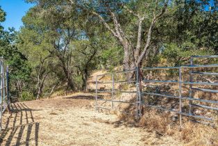 Agriculture,  Bennett Valley road, Santa Rosa, CA 95404 - 47