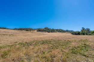 Agriculture,  Bennett Valley road, Santa Rosa, CA 95404 - 54