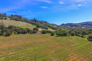 Agriculture,  Bennett Valley road, Santa Rosa, CA 95404 - 13