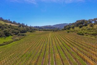 Agriculture,  Bennett Valley road, Santa Rosa, CA 95404 - 21
