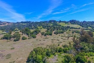 Agriculture,  Bennett Valley road, Santa Rosa, CA 95404 - 33