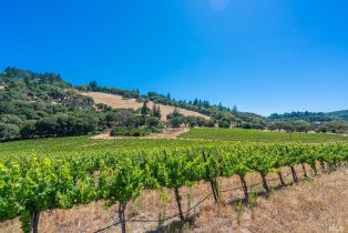 Agriculture,  Bennett Valley road, Santa Rosa, CA 95404 - 43