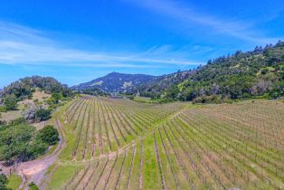 Agriculture,  Bennett Valley road, Santa Rosa, CA 95404 - 15