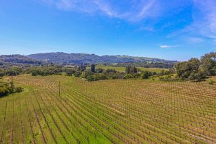Agriculture,  Bennett Valley road, Santa Rosa, CA 95404 - 20