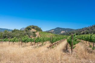 Agriculture,  Bennett Valley road, Santa Rosa, CA 95404 - 42