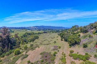 Agriculture,  Bennett Valley road, Santa Rosa, CA 95404 - 36