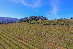 Agriculture,  Bennett Valley road, Santa Rosa, CA 95404 - 22