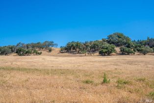 Agriculture,  Bennett Valley road, Santa Rosa, CA 95404 - 53