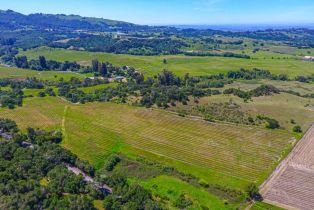 Agriculture,  Bennett Valley road, Santa Rosa, CA 95404 - 23