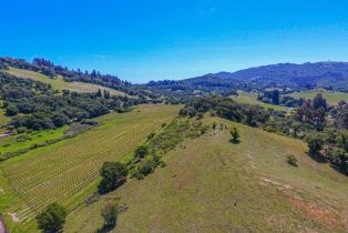 Agriculture,  Bennett Valley road, Santa Rosa, CA 95404 - 26