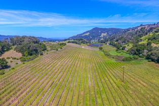 Agriculture,  Bennett Valley road, Santa Rosa, CA 95404 - 17