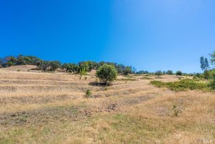 Agriculture,  Bennett Valley road, Santa Rosa, CA 95404 - 50