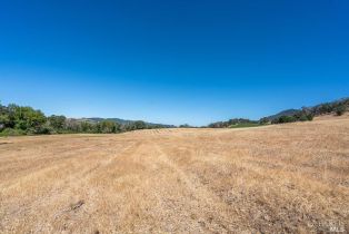 Agriculture,  Bennett Valley road, Santa Rosa, CA 95404 - 51