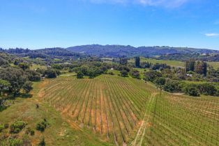 Agriculture,  Bennett Valley road, Santa Rosa, CA 95404 - 19