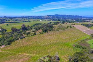 Agriculture,  Bennett Valley road, Santa Rosa, CA 95404 - 18