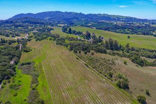 Agriculture,  Bennett Valley road, Santa Rosa, CA 95404 - 24