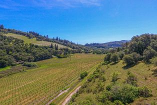 Agriculture,  Bennett Valley road, Santa Rosa, CA 95404 - 27